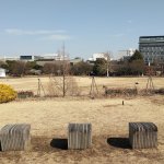 【立川駅】昭和記念公園 浮遊の庭の休憩場所