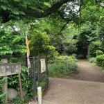 【十条駅】野鳥の森緑地の休憩場所