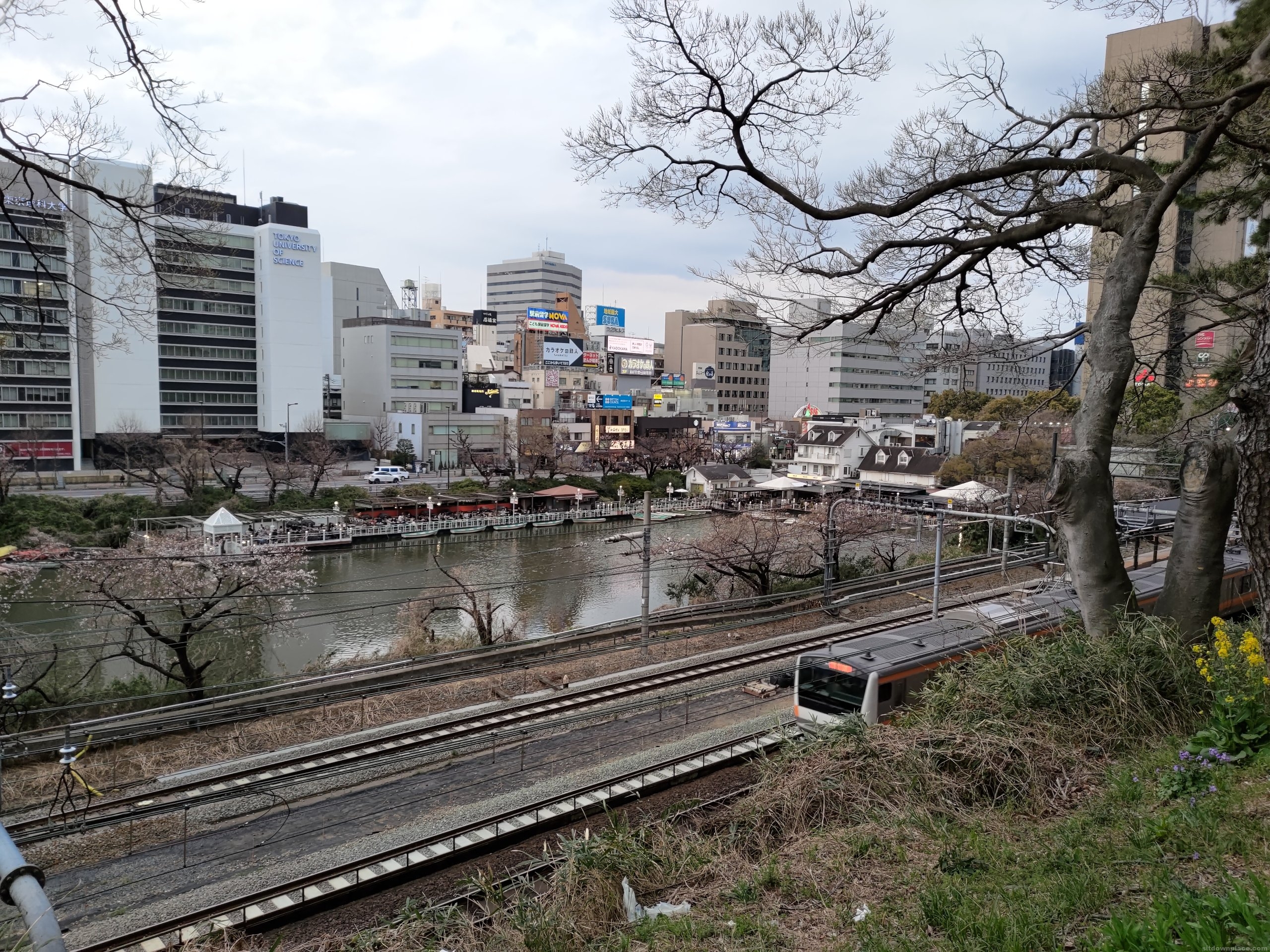 神田川の土手から見えるt中央線