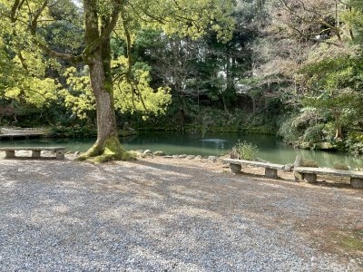 【北鉄金沢駅】尾山神社 神苑周辺の休憩場所2